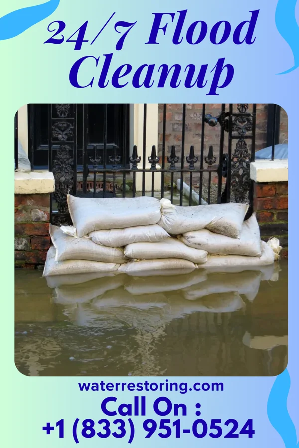 24/7 Flood Cleanup in Ridgeland, WI