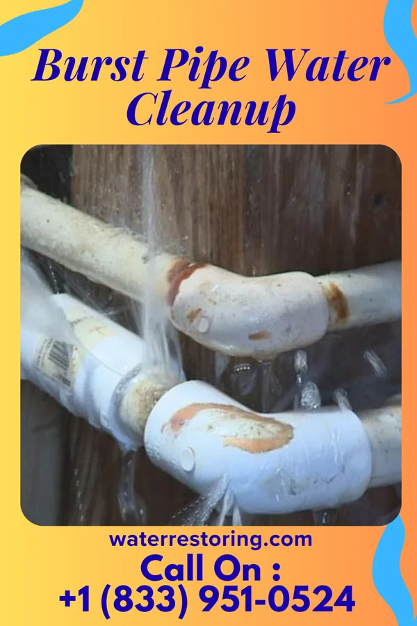 Burst Pipe Water Cleanup in Ridgeland, WI