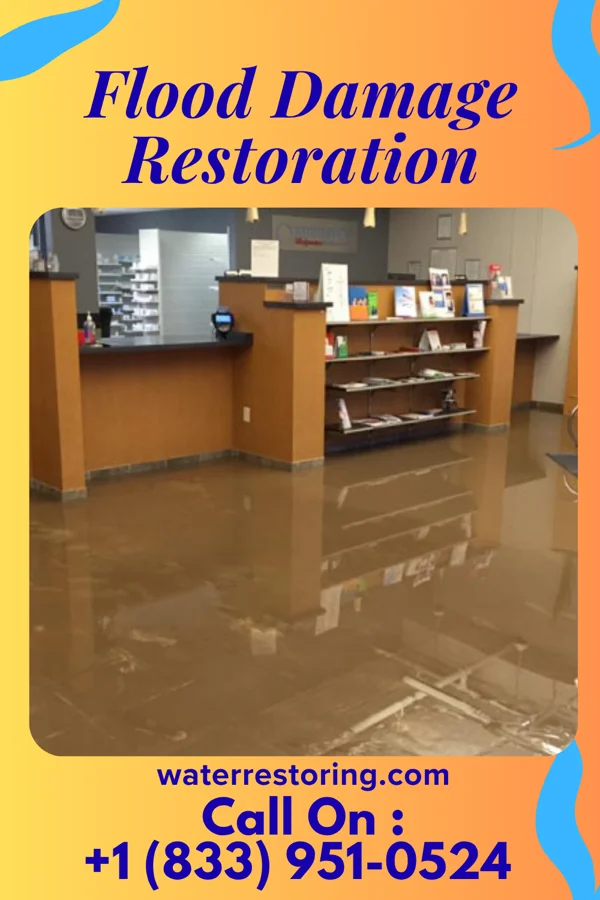 Flood Damage Restoration in Ridgeland, WI