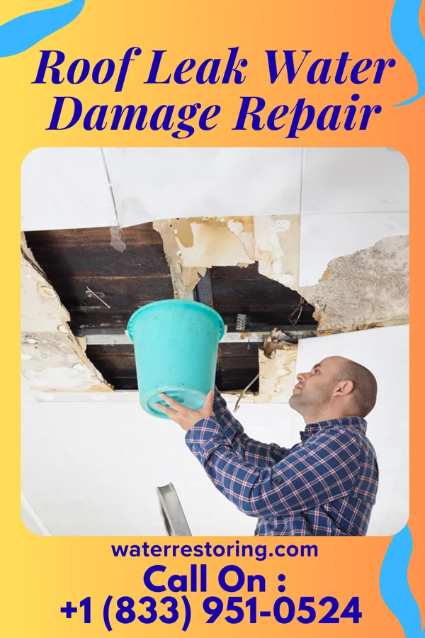 Roof Leak Water Damage Repair in Ridgeland, WI
