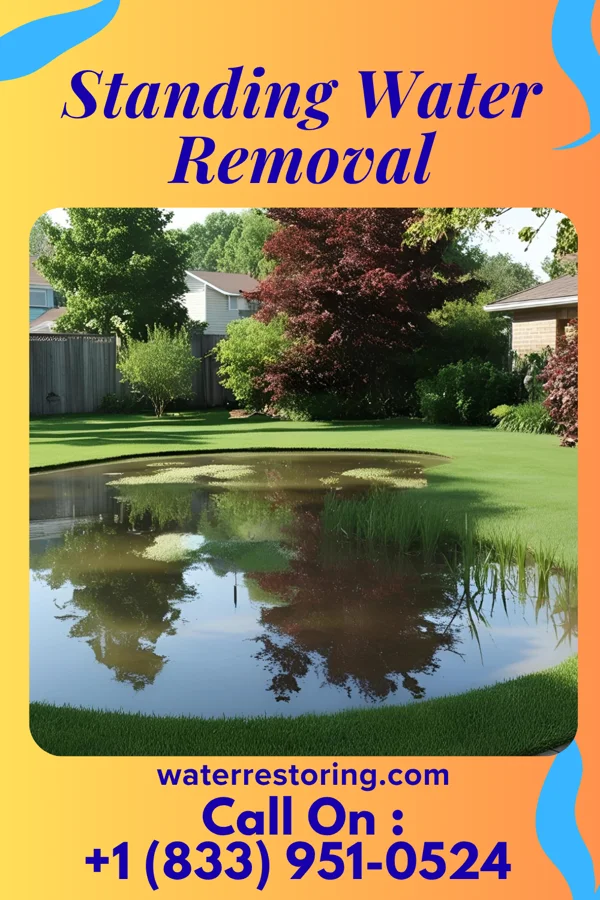Standing Water Removal in Ridgeland, WI